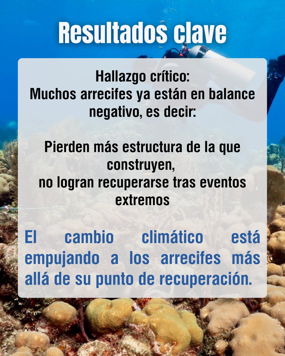 LNCBioCC's tweet photo. 📖 https://t.co/v7oZHHXpFv

#CoralReefs #ClimateCrisis #OceanWarming https://t.co/OAjPXCDOAr