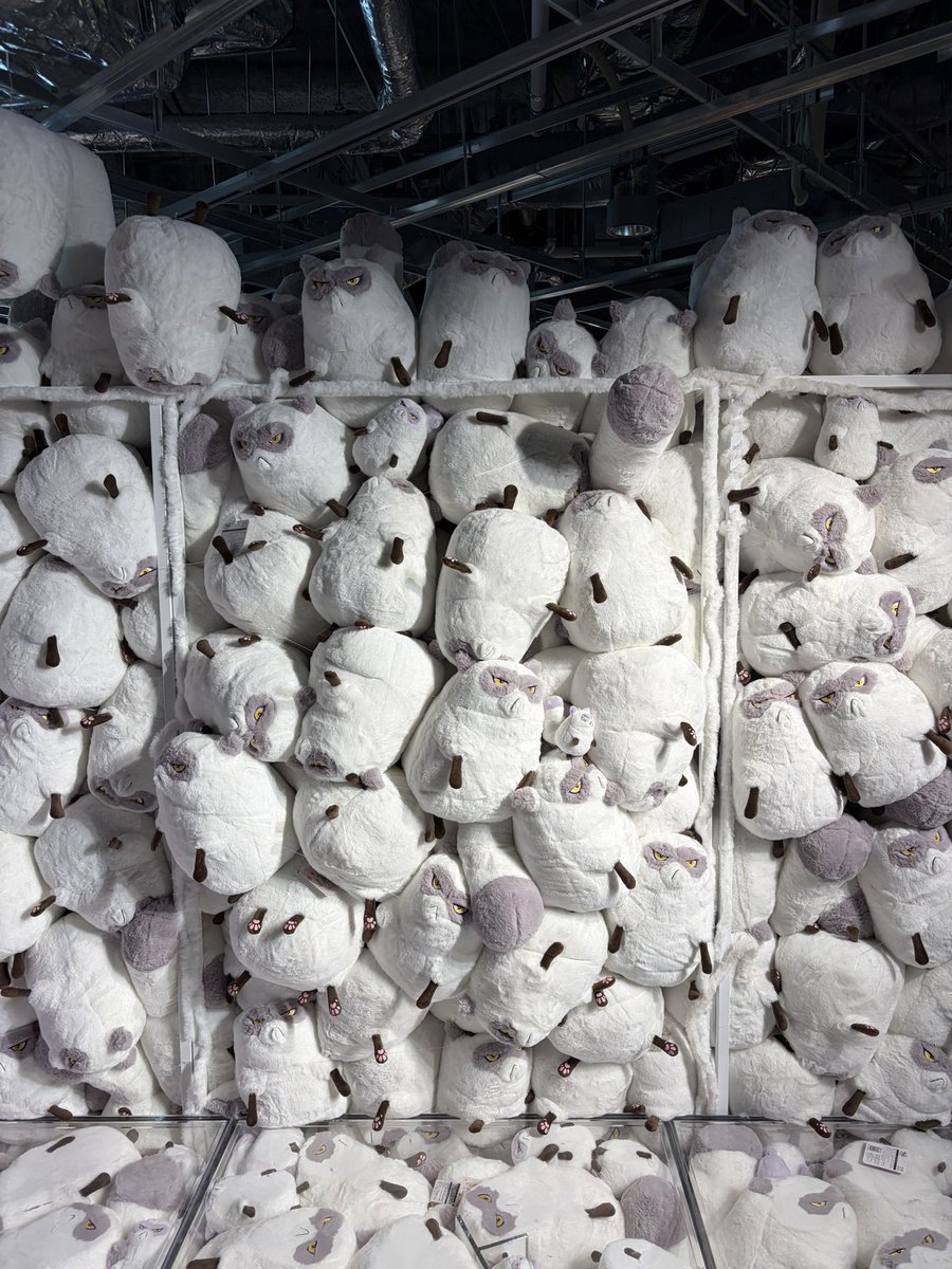 Tetsuya Chihara / 千原徹也 tweet media