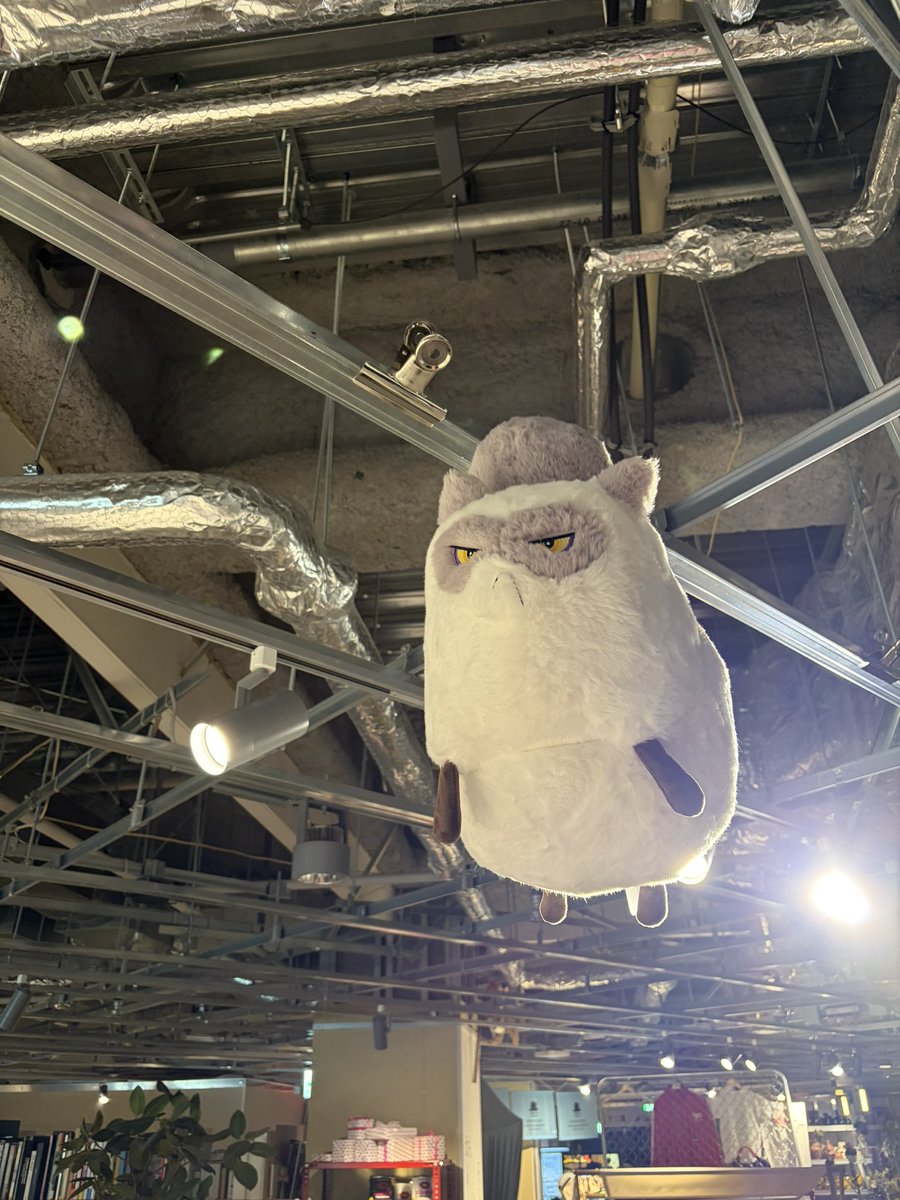 Tetsuya Chihara / 千原徹也 tweet media