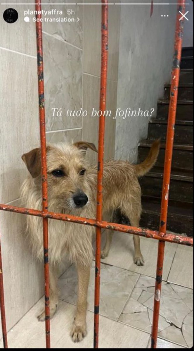 liv 🪩 tweet media