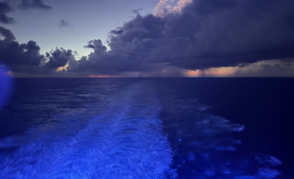 SandemanStocks tweet media