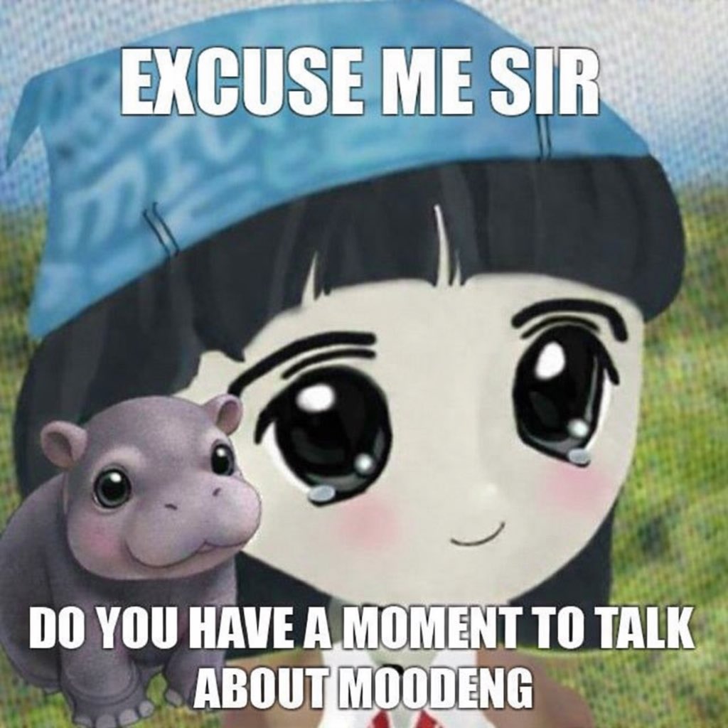 Moo Deng Community tweet media