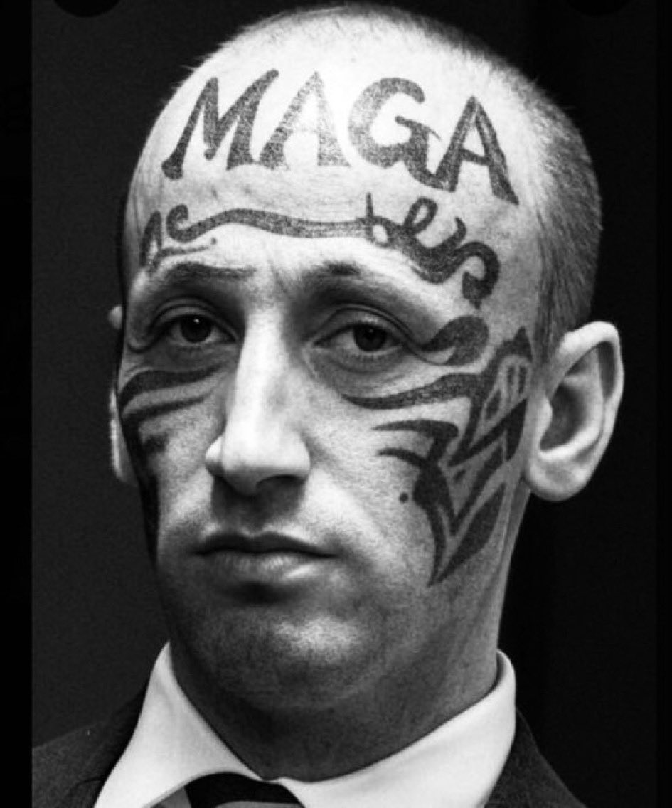 Simpleton & Smartypants 🌊 🌊 🌊 tweet media