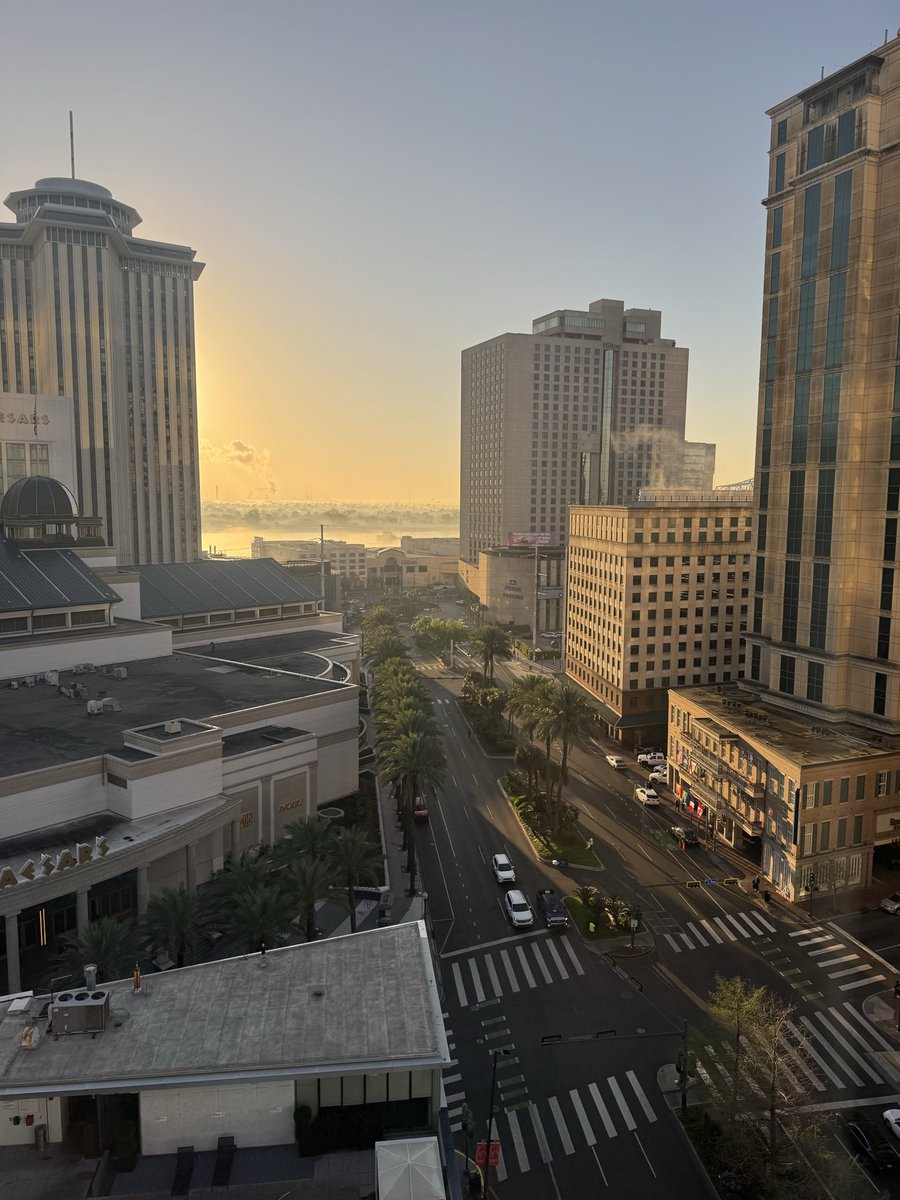 Miguel Marques Antunes tweet media