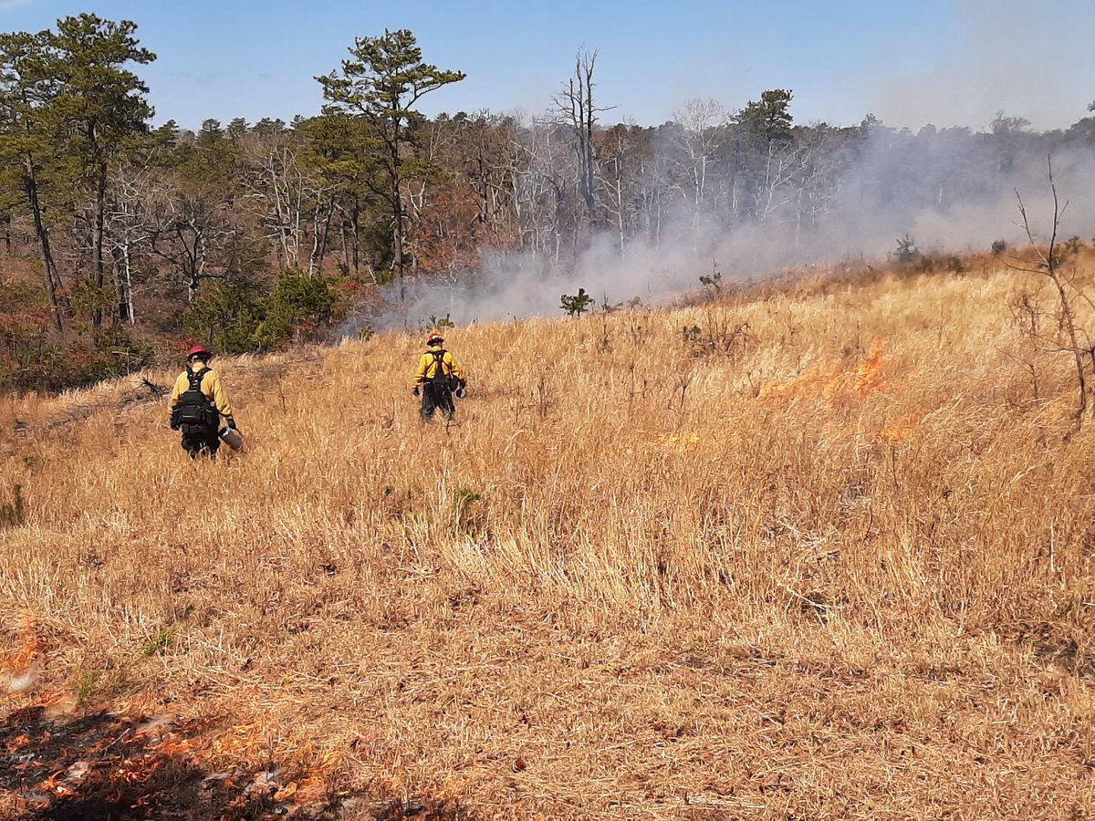 Devil Dog Dan tweet media