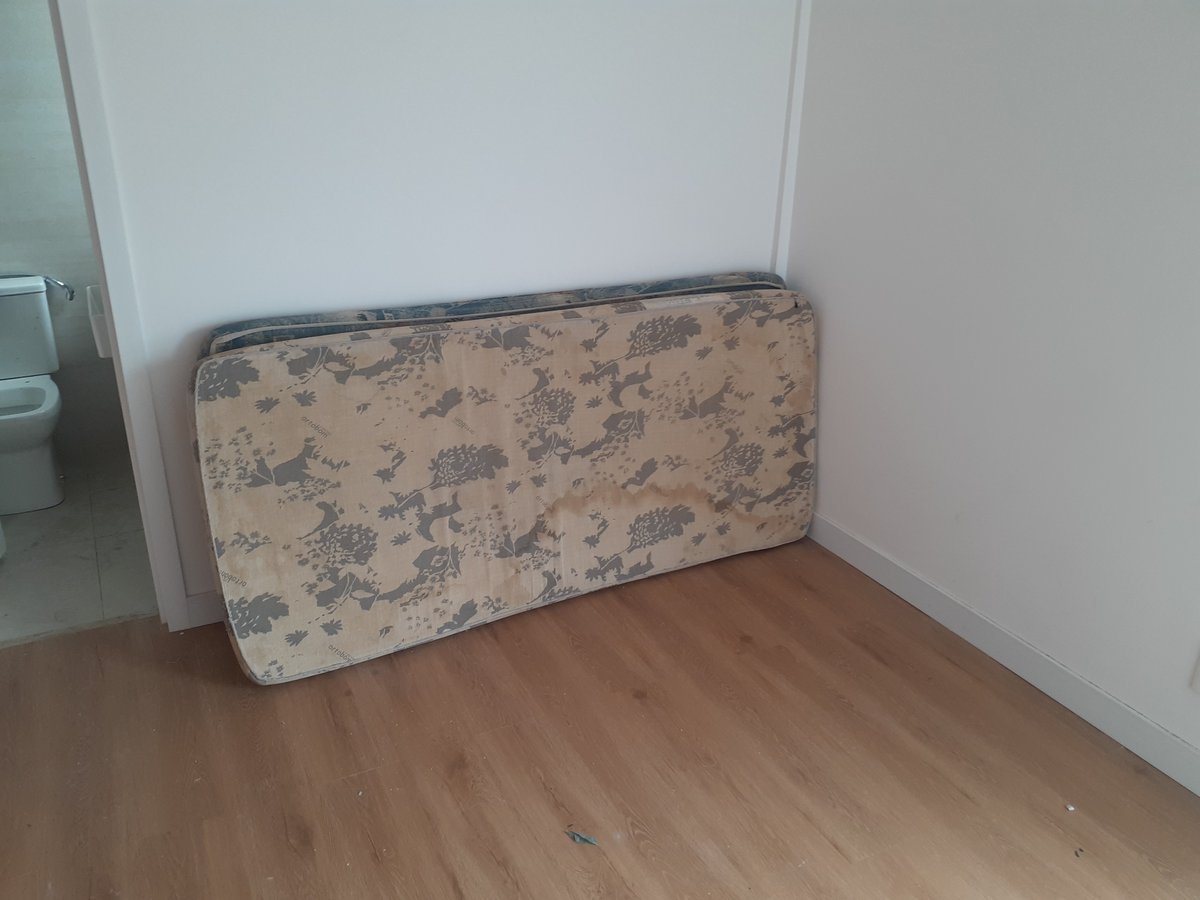 Bertão tolerância 0✡💯% tweet media