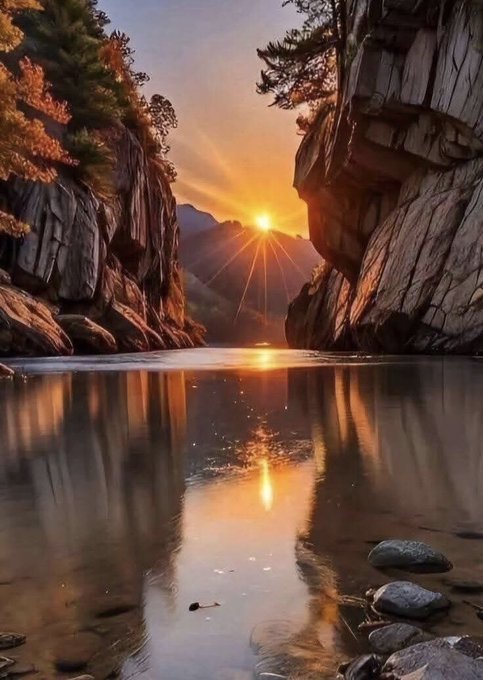 richard solecki tweet media