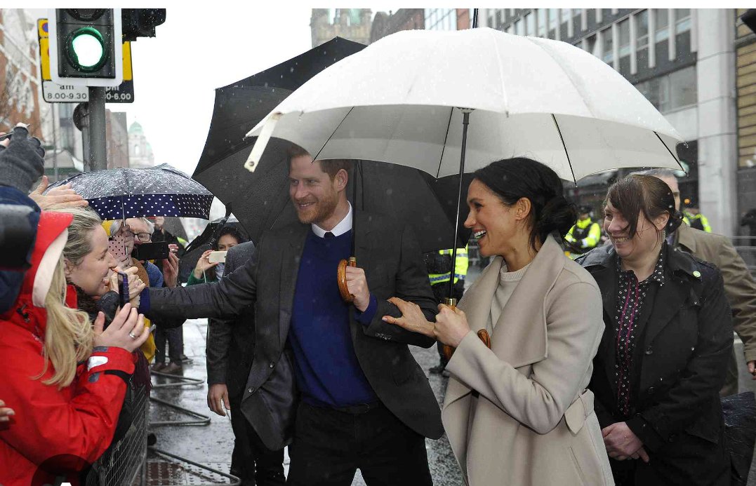 Milano Returns tweet media