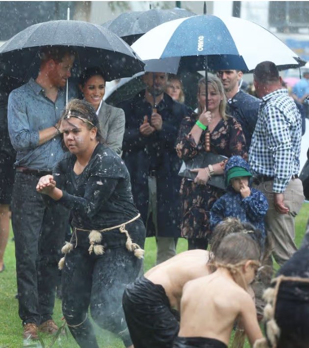 Milano Returns tweet media