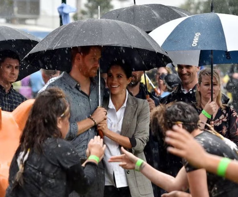 Milano Returns tweet media