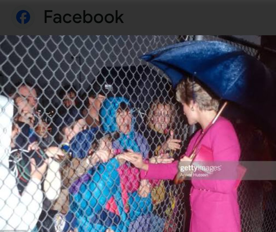 Milano Returns tweet media