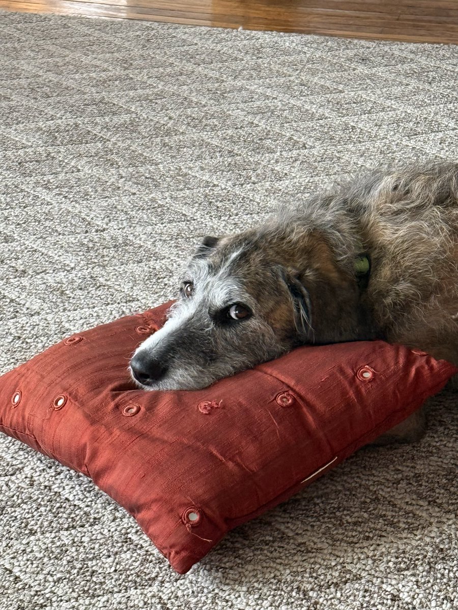 Scott axton tweet media