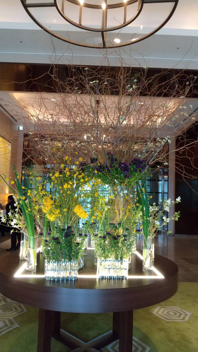 あーちゃん@春からリカレント中🚄✈️🟦🟢 tweet media