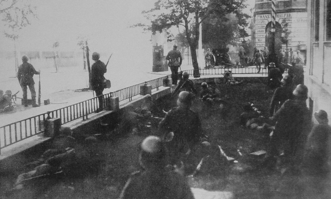 captive dreamer tweet media