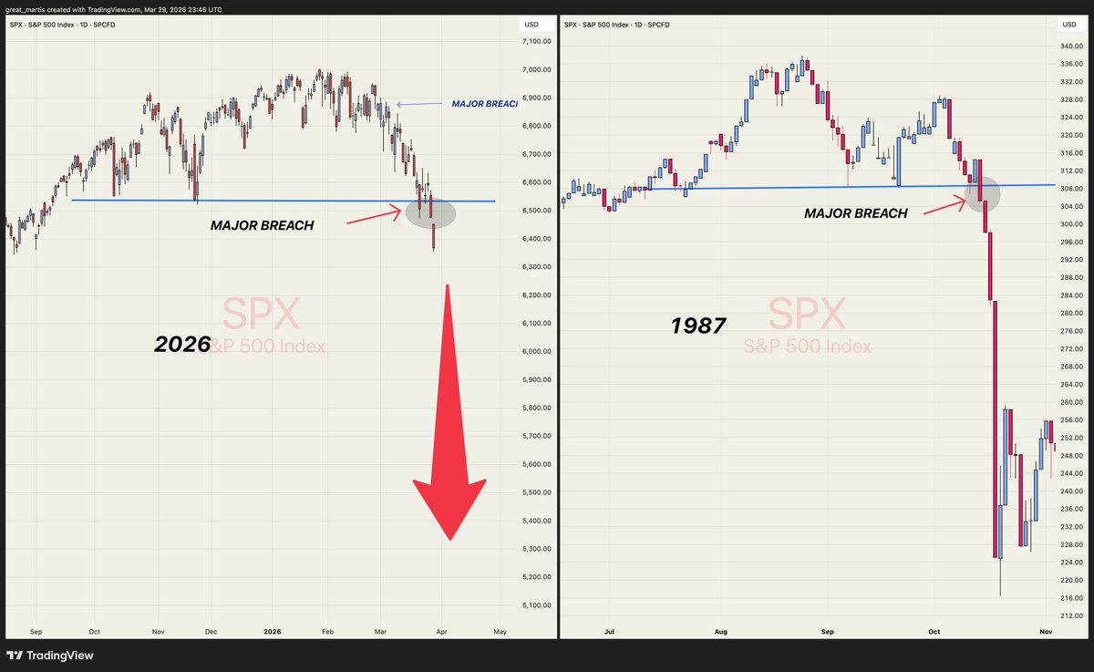 The Great Martis tweet media