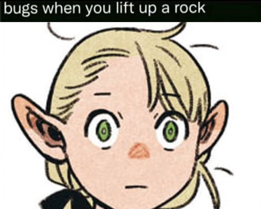 モラ🍓 tweet media