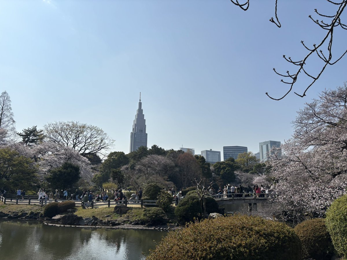 はゆり tweet media