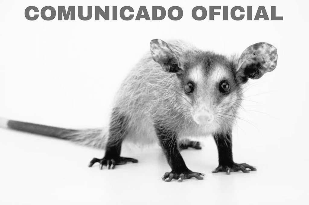 enamor .. tweet media