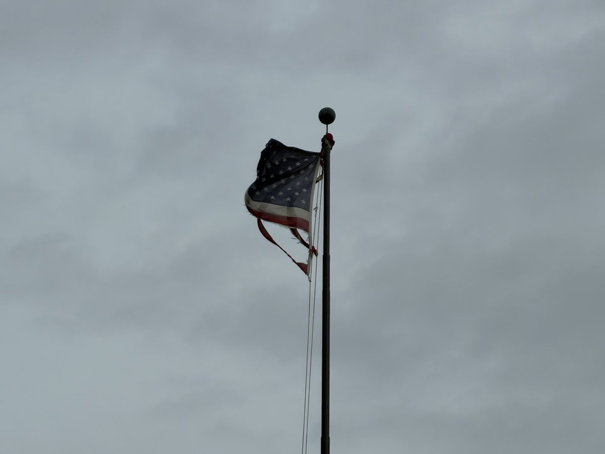 Trent 🇺🇸 tweet media