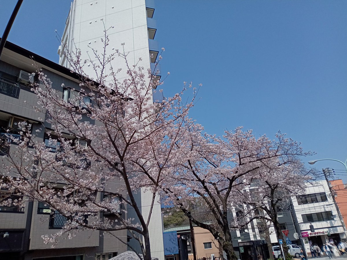 knao1222's tweet photo. 昨日は、飯田橋まで🚲️

いつもと逆サイからの🌸 https://t.co/utU5L85JfH