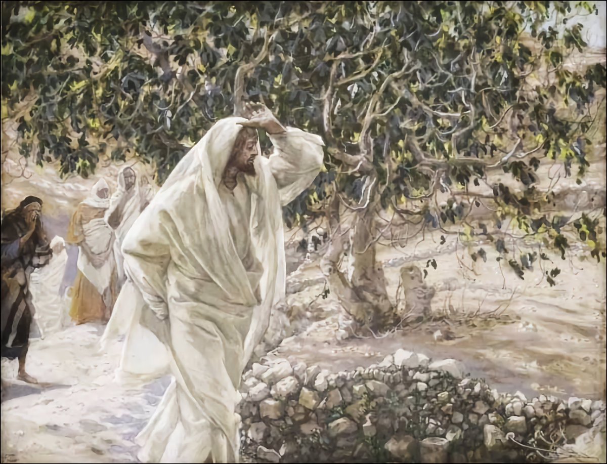 Memento Mori tweet media