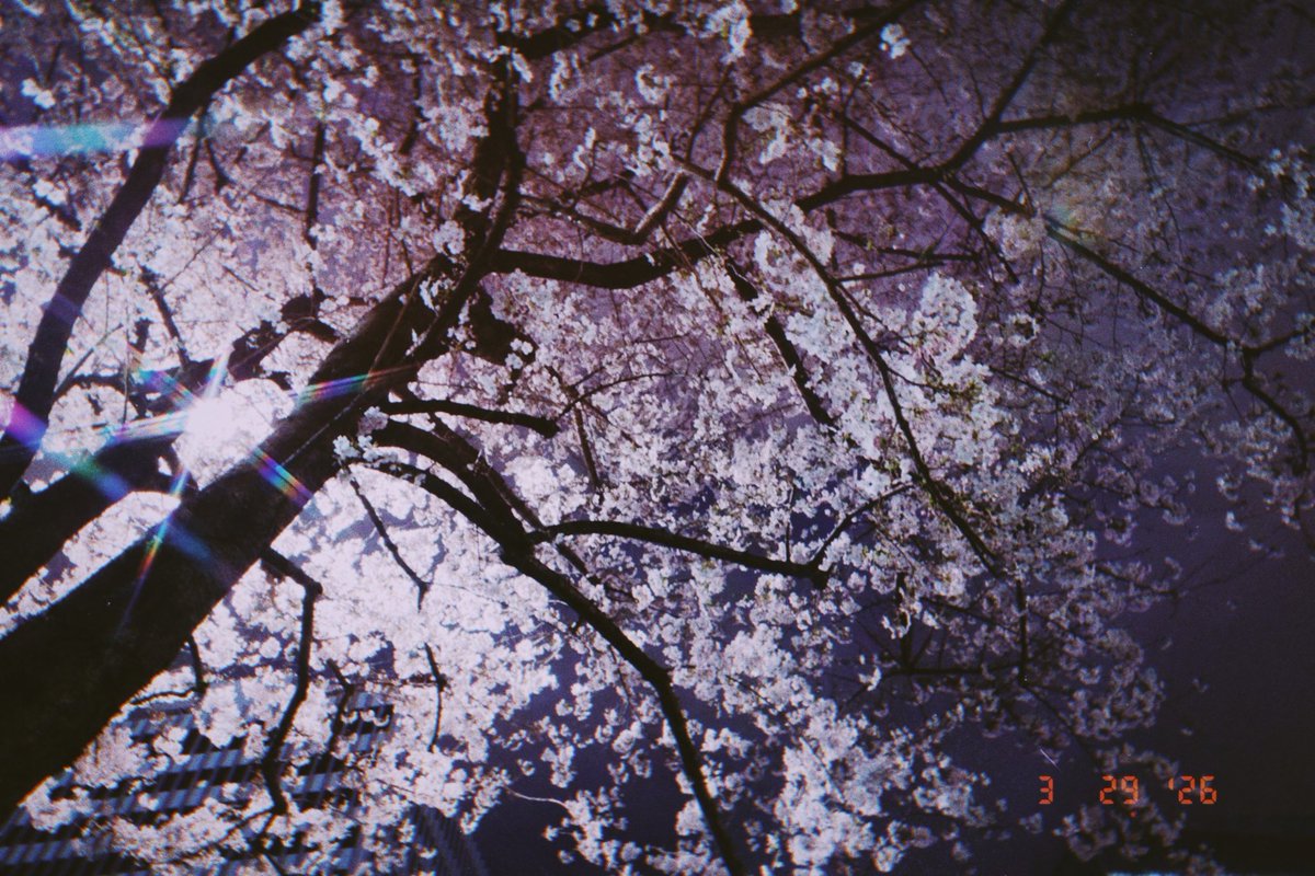 ごったん tweet media