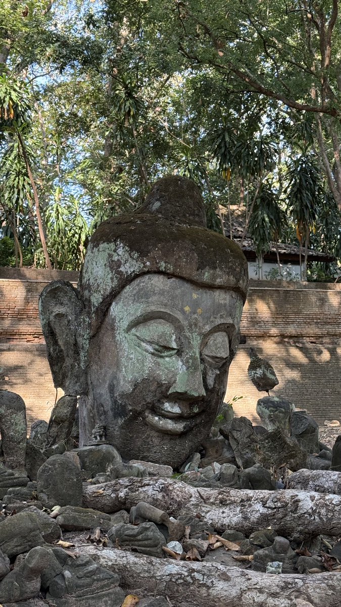 三幸貿易公式 tweet media