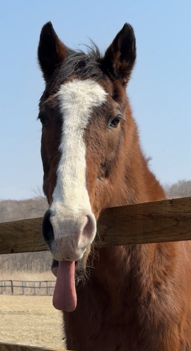 GoodMilk tweet media