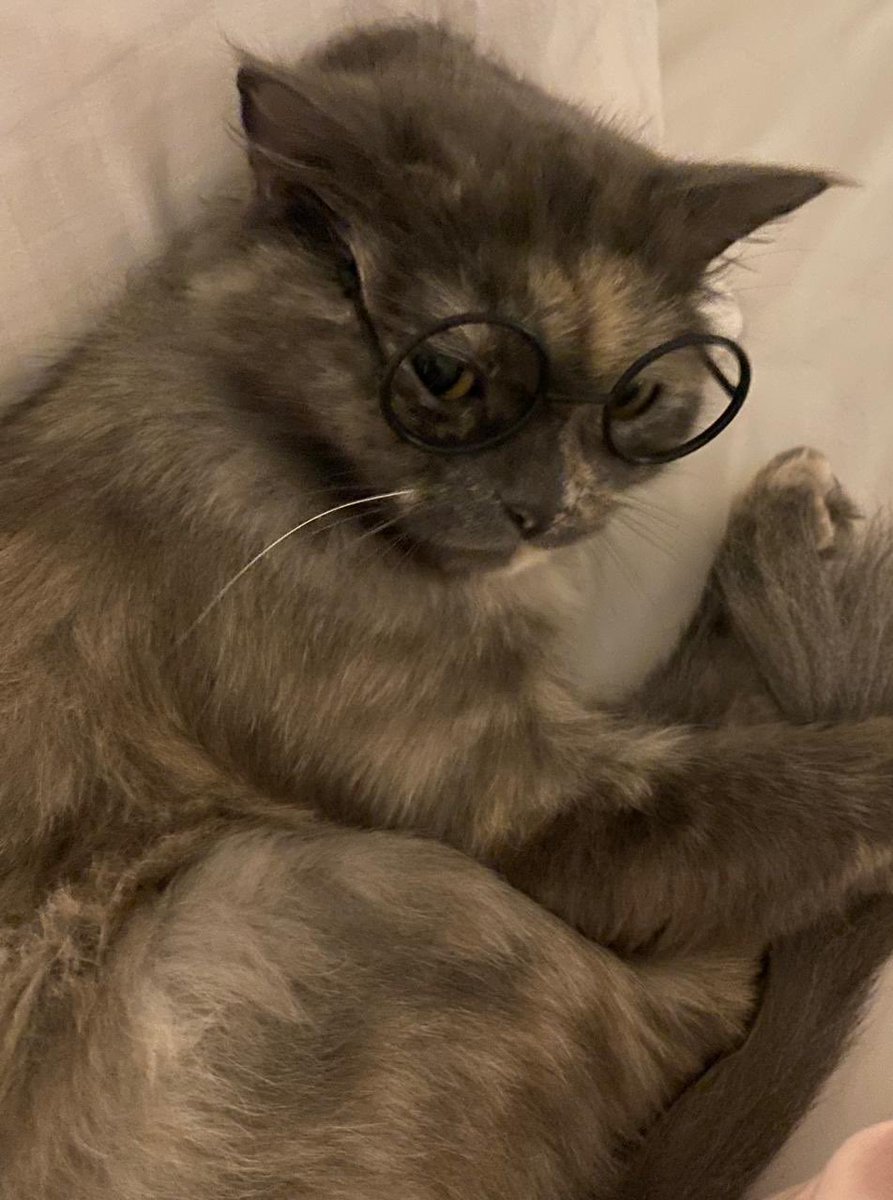 ᖭི༏ᖫྀ tweet media