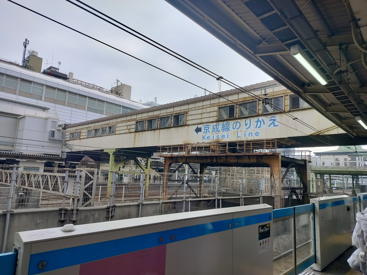 沙拉/Salad Savior🥗🗡️ tweet media