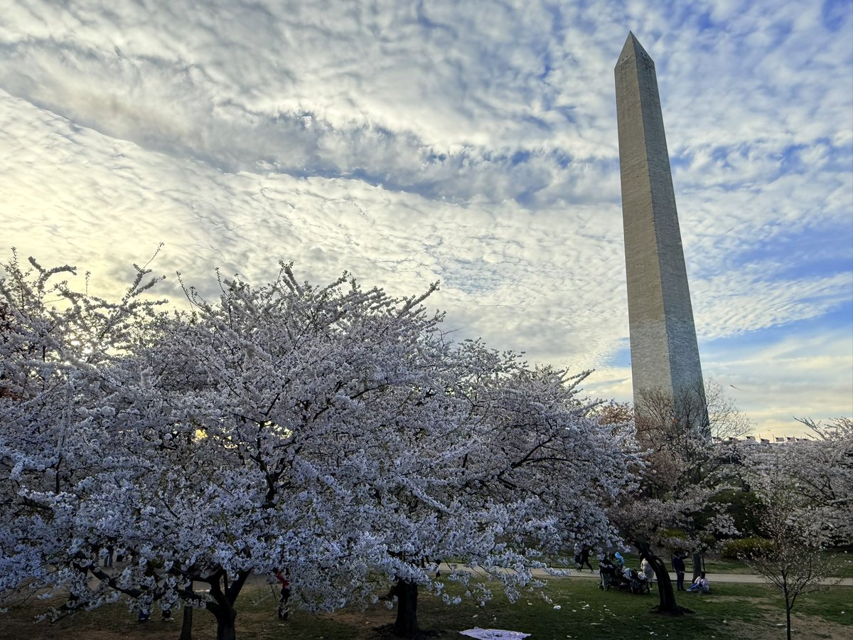 Scott Lowery tweet media