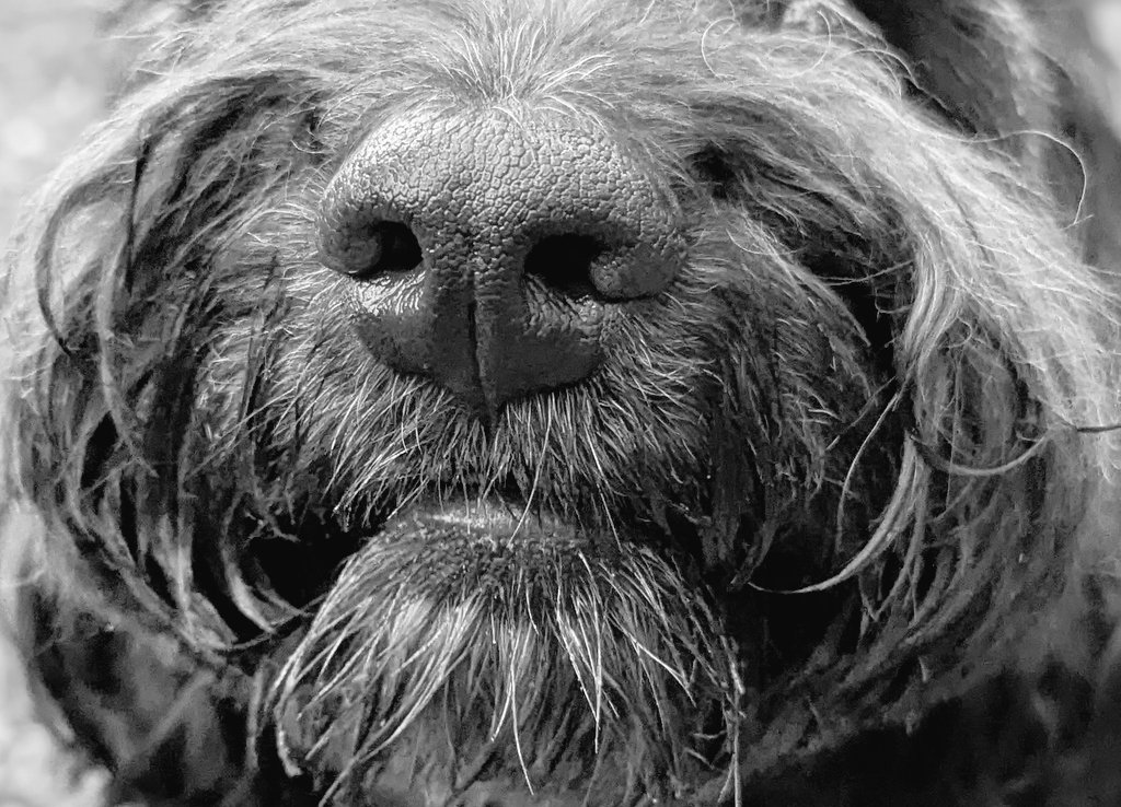 💧Mrs. Rhubarb🐩🤷🏻🖌️🎨🇵🇸 tweet media