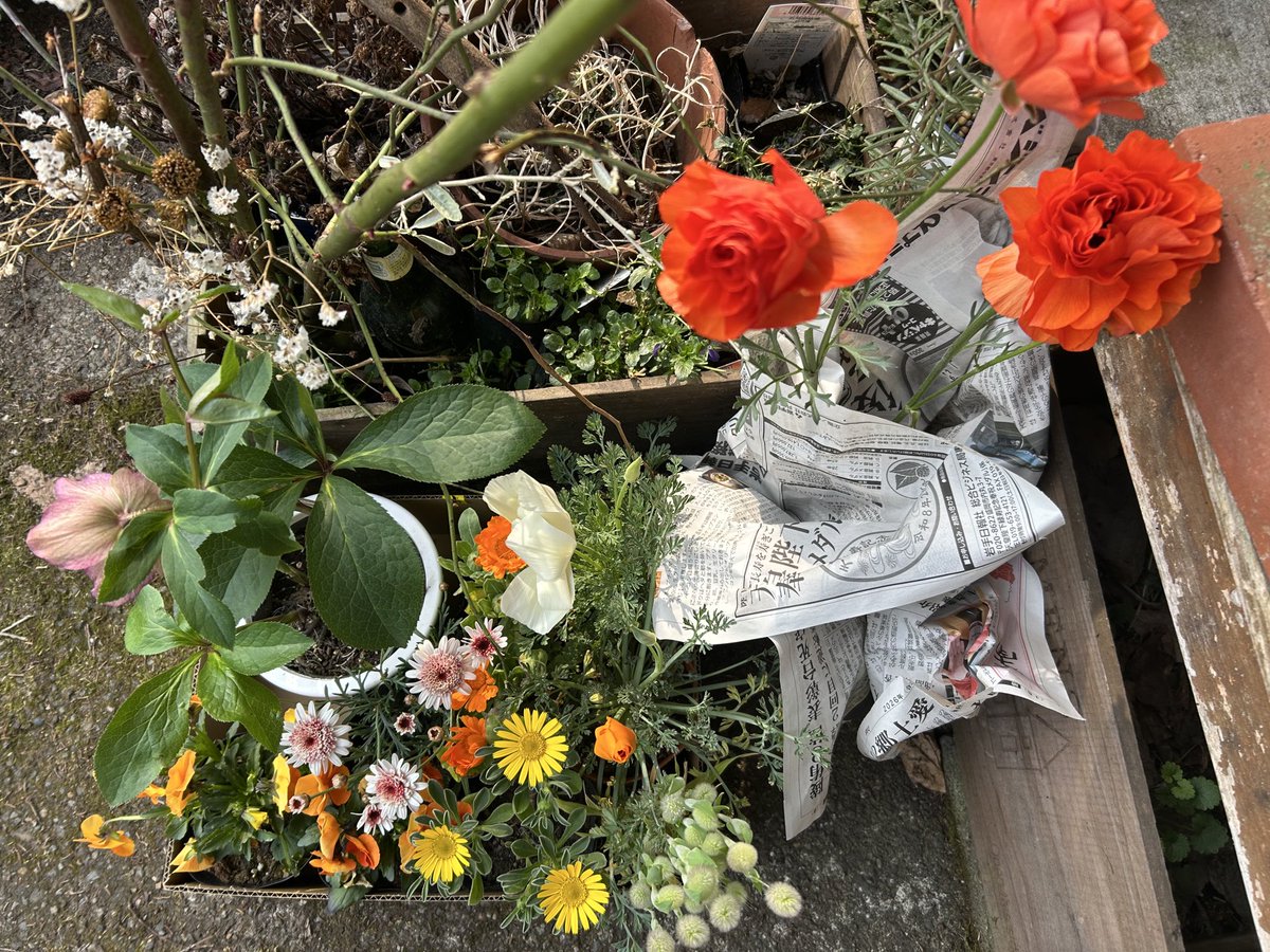 café pont chatポンシャ tweet media