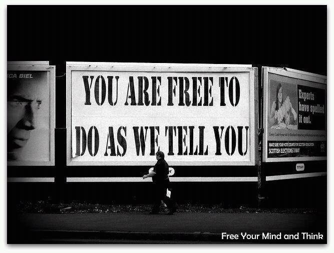 PhillyElly tweet media