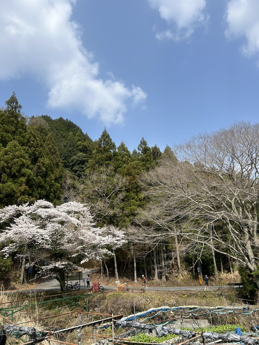 みつぱわー tweet media