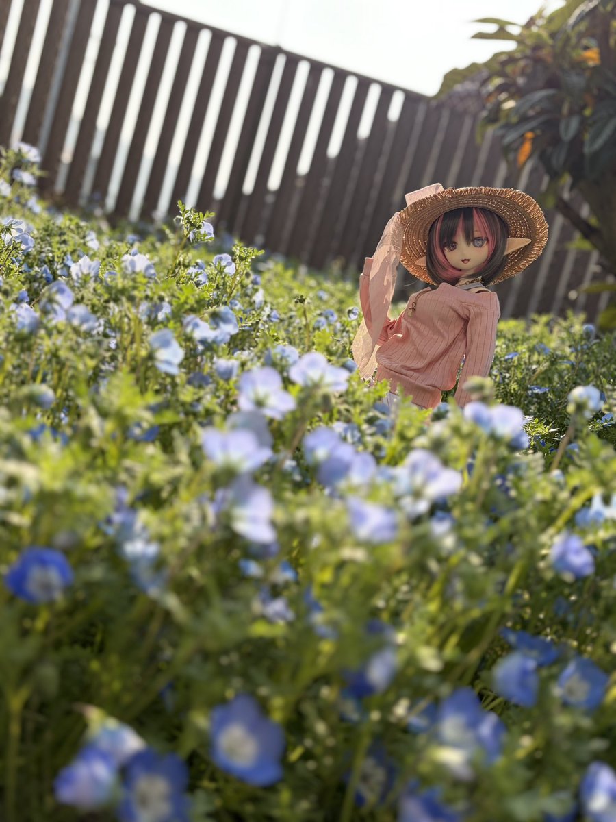 どむとろー tweet media