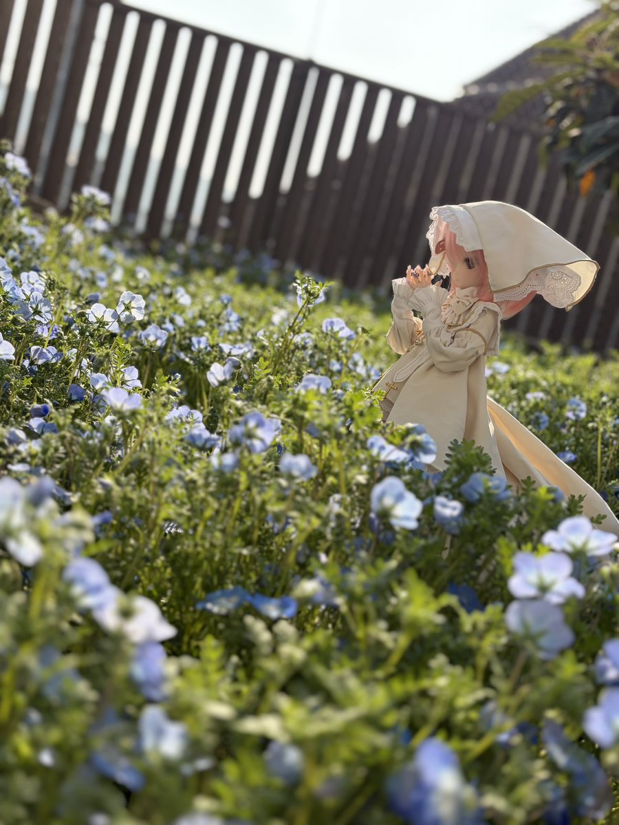 どむとろー tweet media