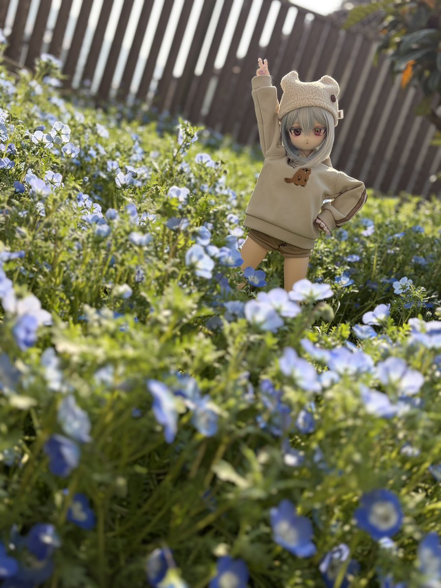 どむとろー tweet media