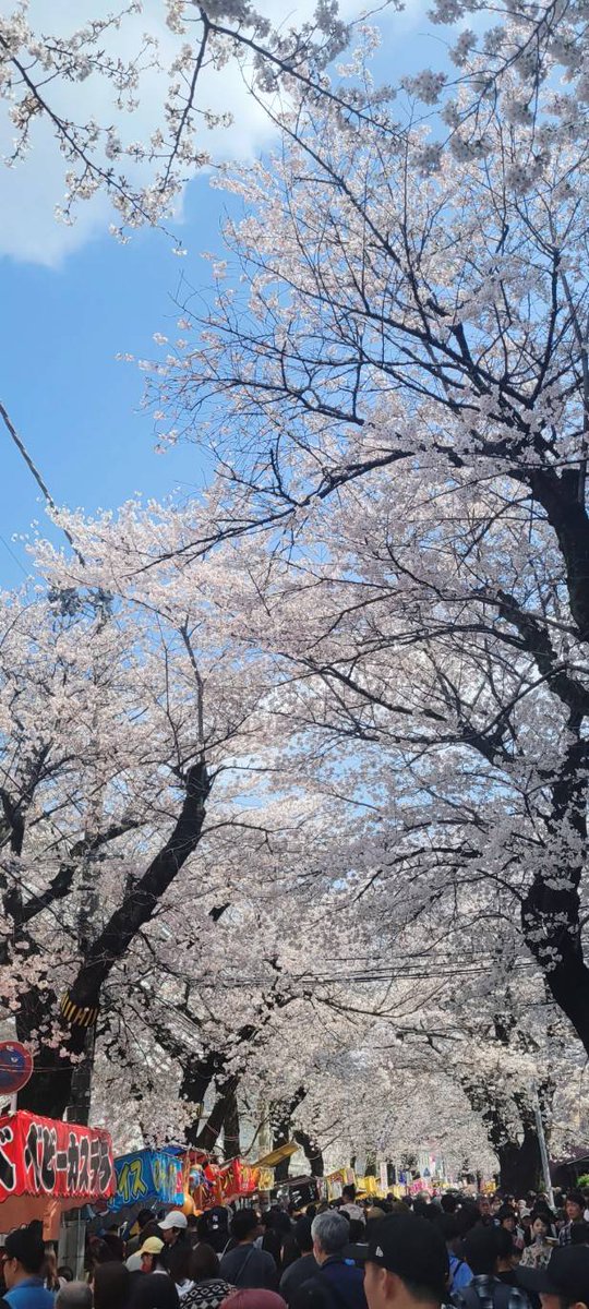 れもんばーむ🍋今年の目標は砂時計body⌛🏋♂️🧘♀️💃 tweet media