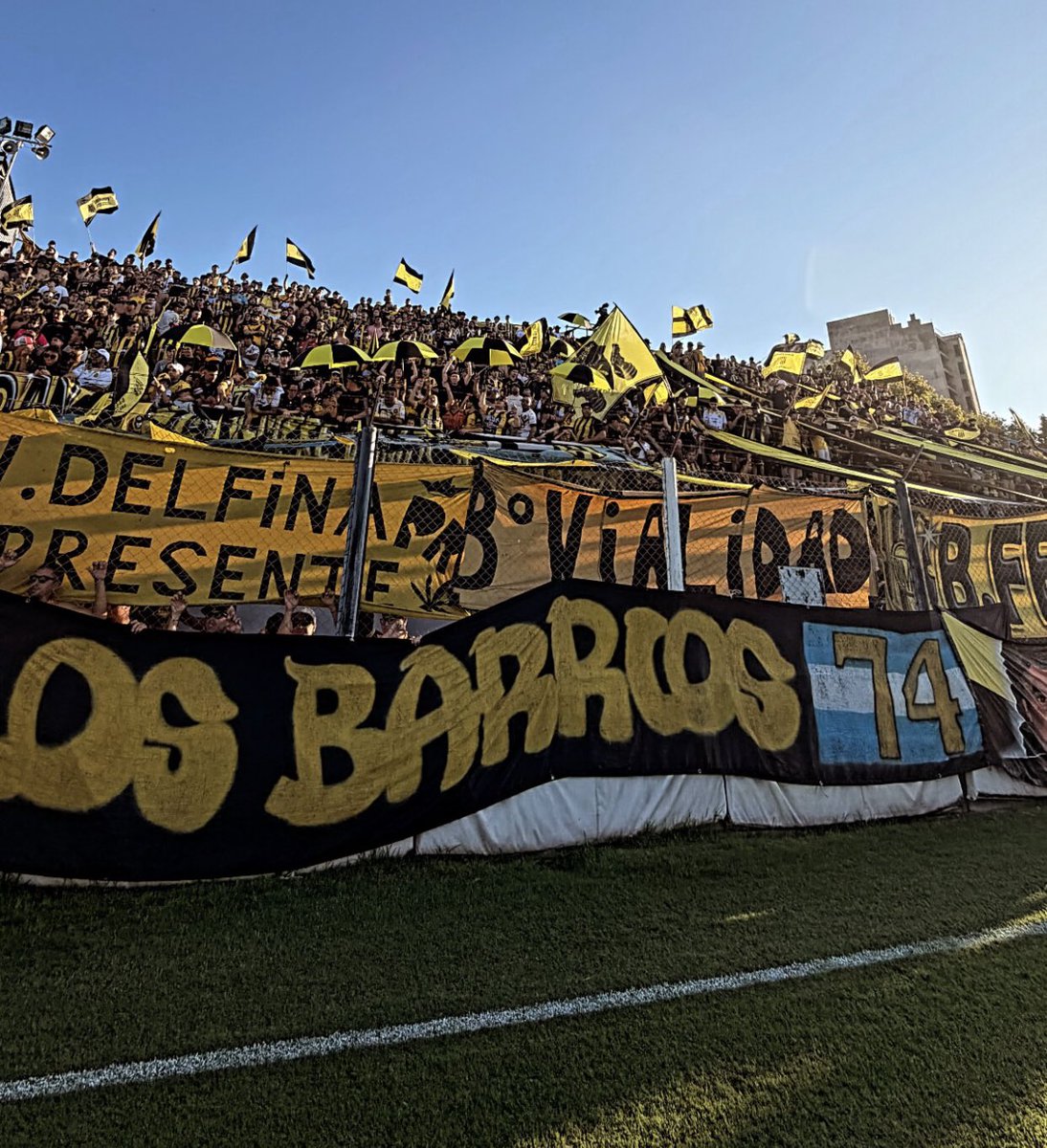 dios del Olimpo tweet media