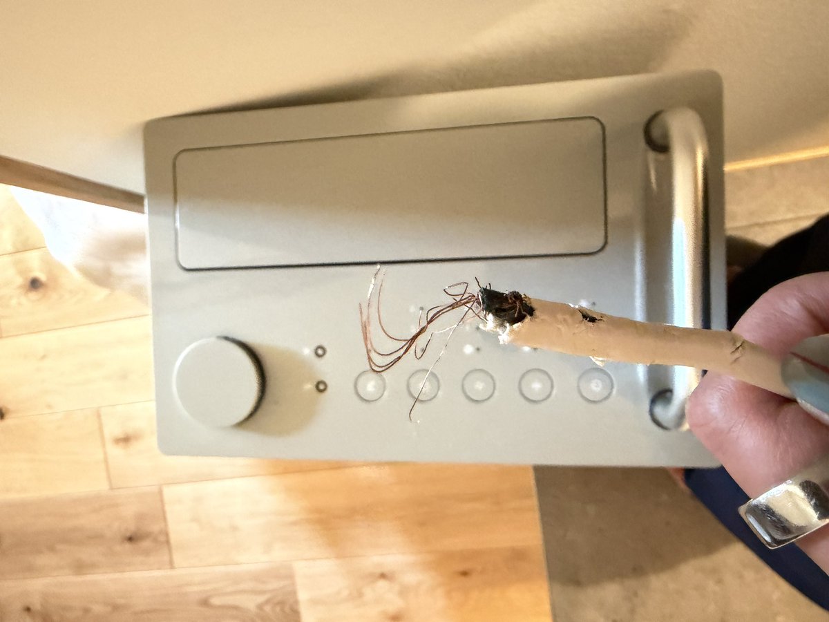 にう 🐶誤字脱字多 tweet media