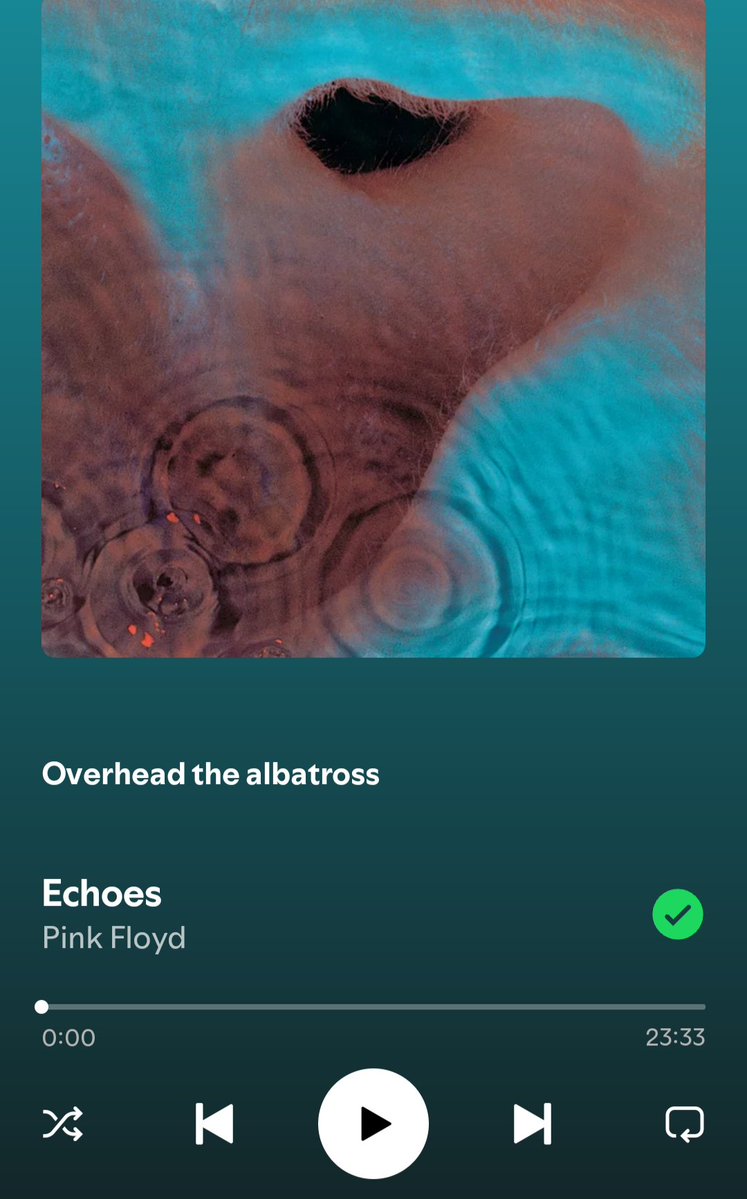 Jasopowicz tweet media