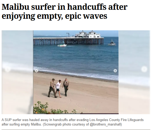 „In fact, a pandemic-without-virus logic is already being operationalised.“