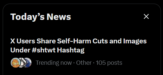 romano of shedtwt tweet media