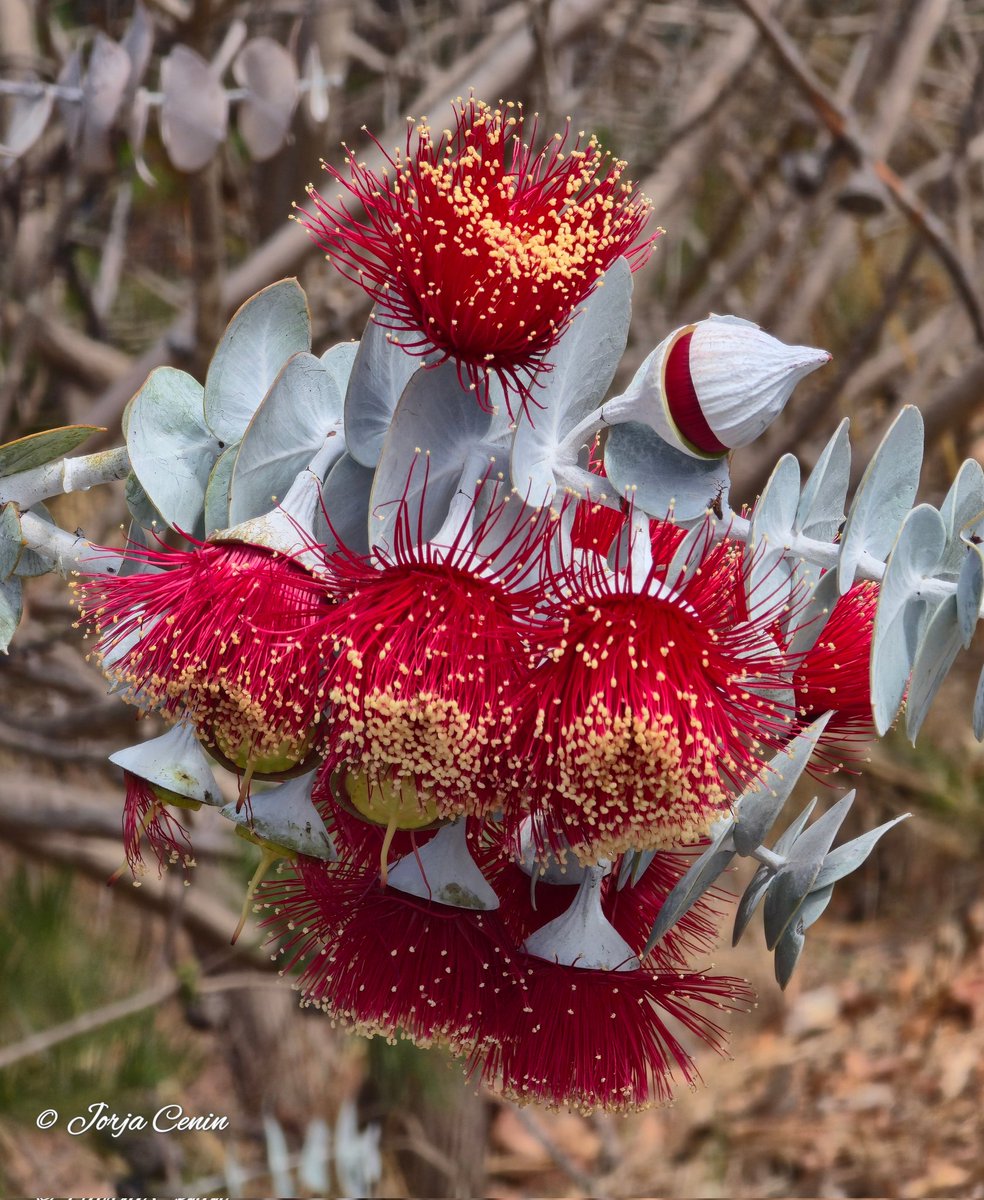 Into Nature Photography with Jorja tweet media