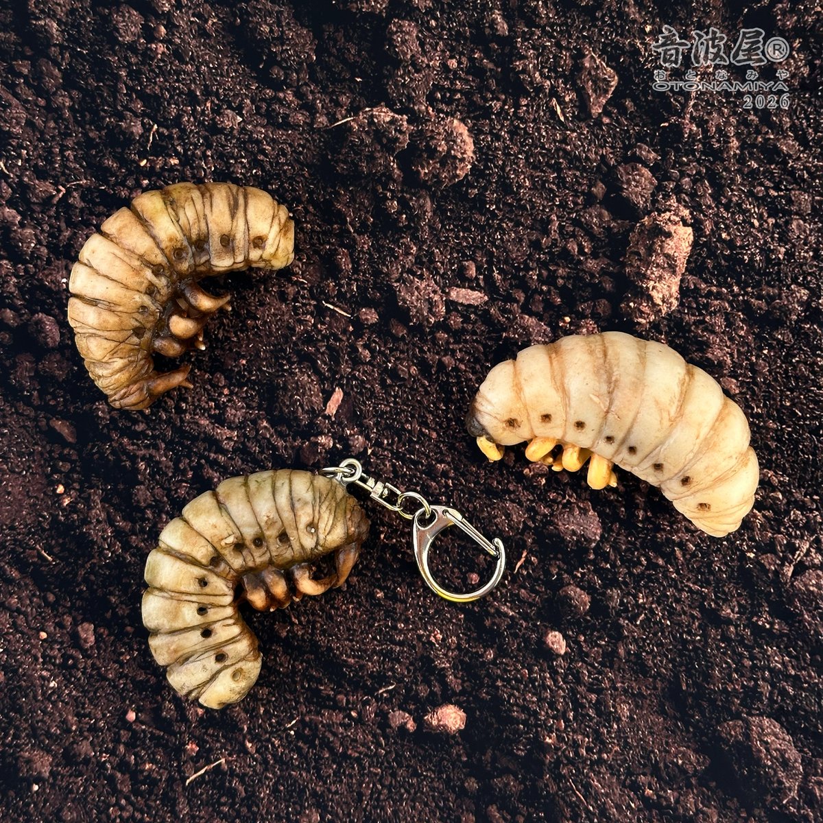 音波屋（おとなみや） tweet media