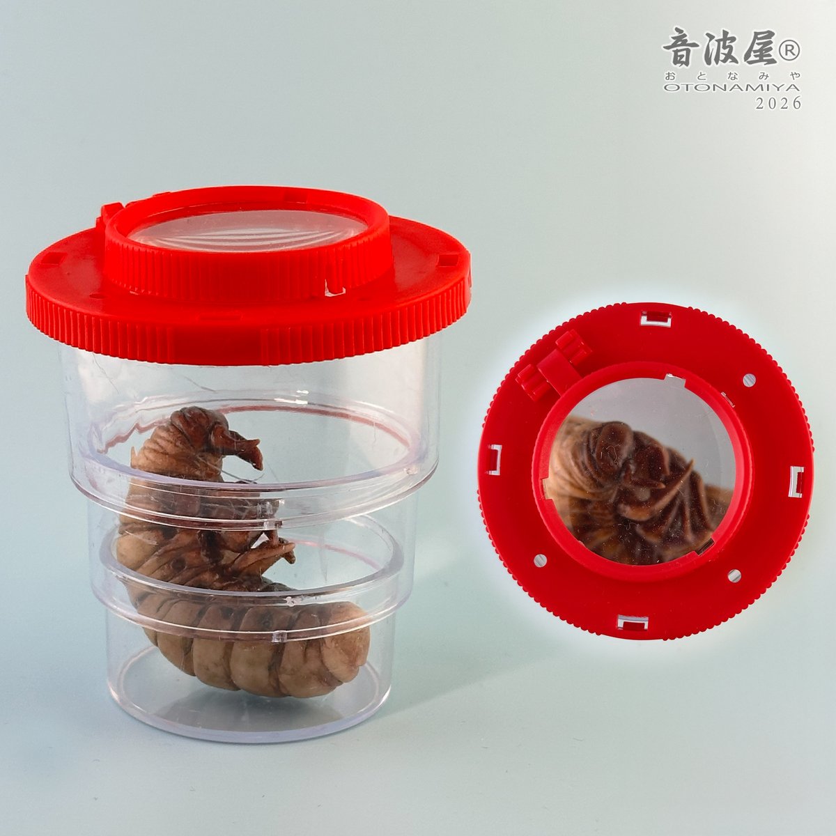 音波屋（おとなみや） tweet media