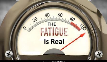 13z Kara tweet media