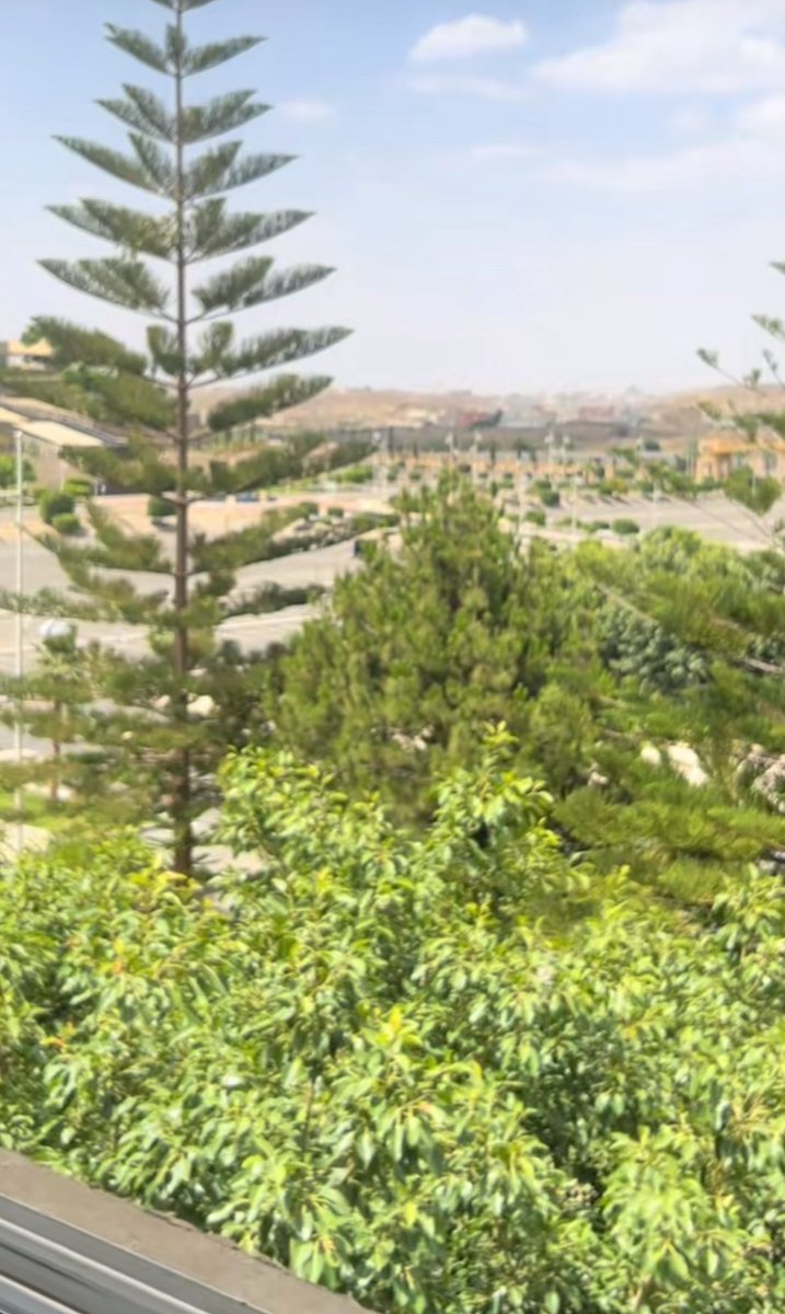 eng | melu tweet media