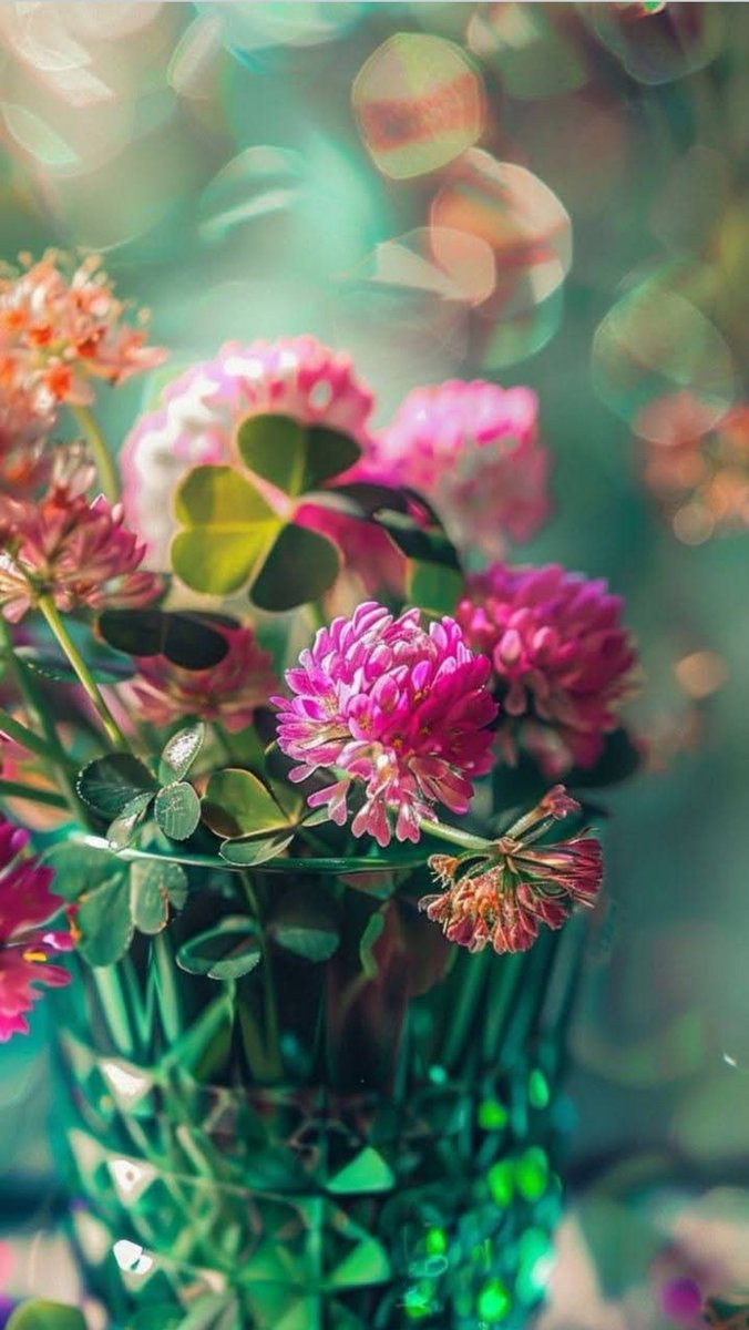 Jsmk23642's tweet image. "創造性とは、誰もが見ているものを見て、全く違う考えを持つことです。"
​ #Creativity #Innovation #Idea #創造性 #アイデア #إبداع